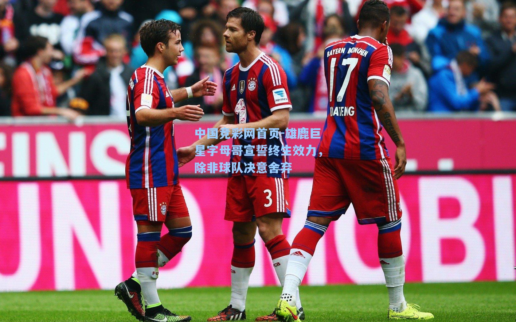 雄鹿巨星字母哥宣誓终生效力，除非球队决意舍弃