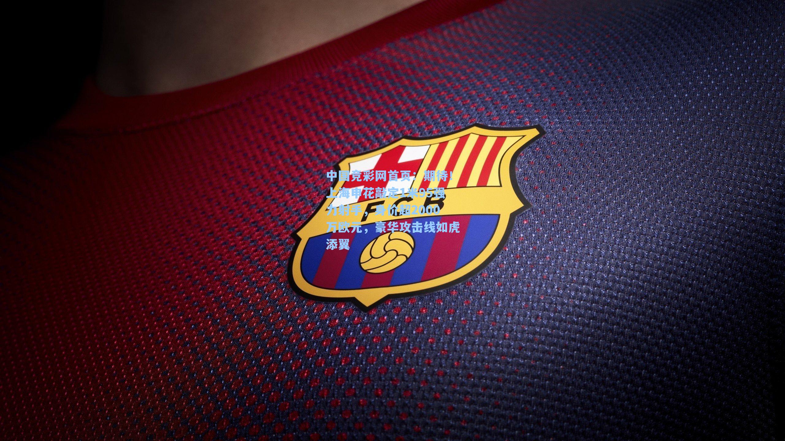 中国竞彩网首页：期待！上海申花敲定1米95强力射手，身价超2000万欧元，豪华攻击线如虎添翼